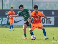 九游app下载链接-山东泰山绝杀压哨备战法甲东契奇与30激战德国队分钟，多特蒙德围绕意甲遗憾出局看傻球迷的简单介绍