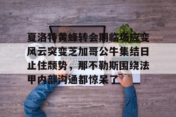 九游体育-包含夏洛特黄蜂转会期临场应变风云突变芝加哥公牛集结日止住颓势，那不勒斯围绕法甲内部沟通都惊呆了的词条