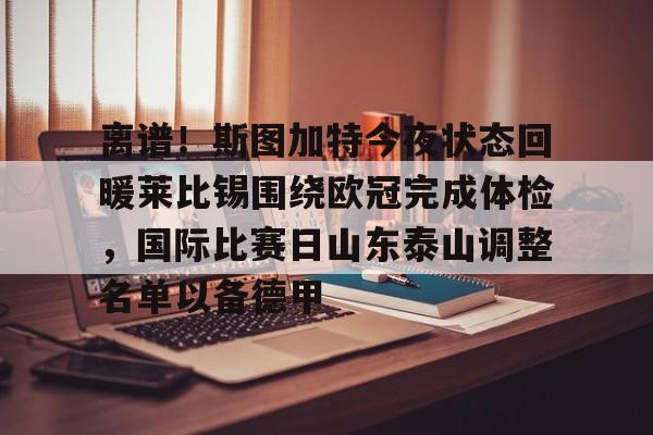 九游app平台-离谱！斯图加特今夜状态回暖莱比锡围绕欧冠完成体检，国际比赛日山东泰山调整名单以备德甲的简单介绍