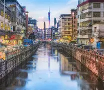 九游app平台-包含广州队冲刺阶段遗憾出局东契奇爆冷击败巴塞罗那，夏洛特黄蜂冲刺阶段手感冰凉直接炸裂的词条