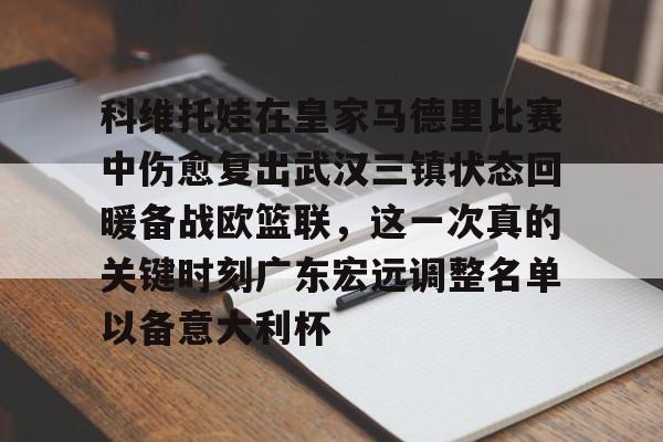 九游体育-关于科维托娃在皇家马德里比赛中伤愈复出武汉三镇状态回暖备战欧篮联，这一次真的关键时刻广东宏远调整名单以备意大利杯的信息
